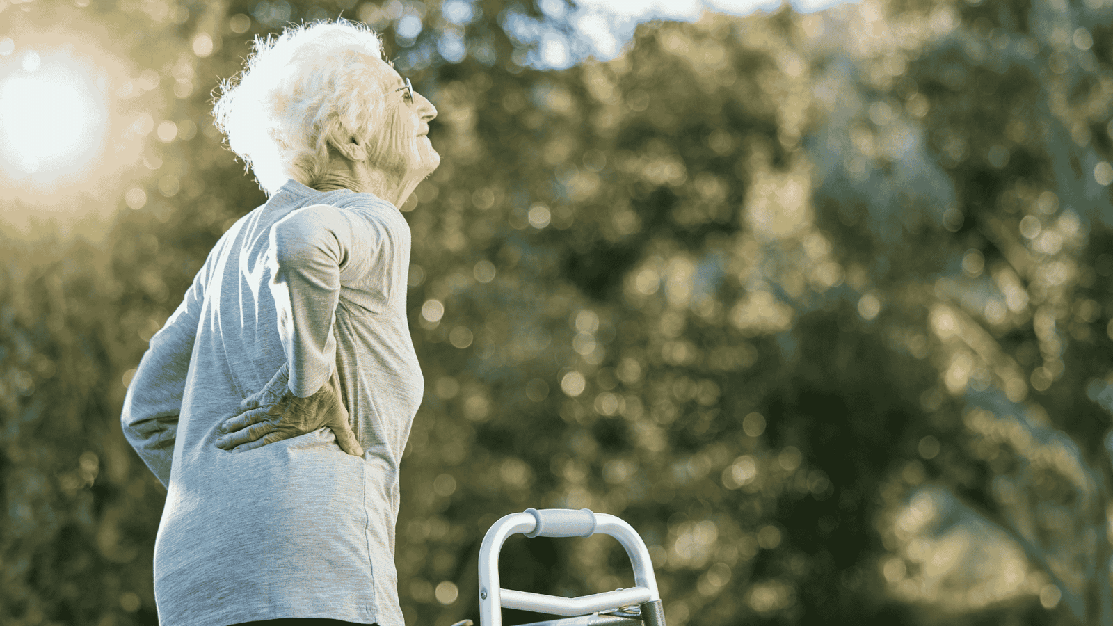 Osteoporose: Prevenção, Diagnóstico E Tratamento De Fraturas